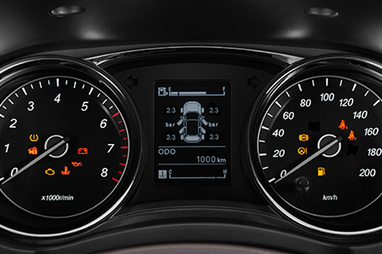 LUXURY METER CLUSTER LUXURY METER CLUSTER